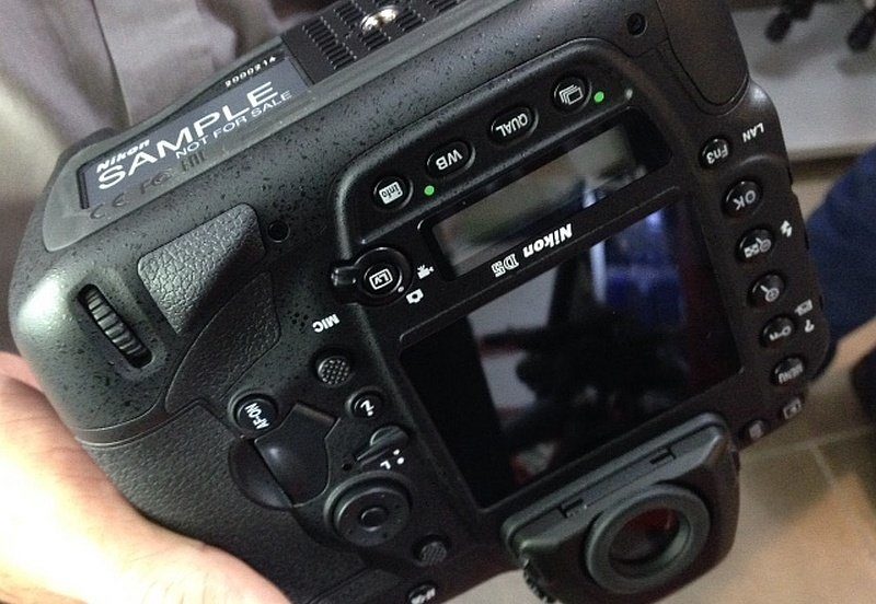 從另一角度觀看 Nikon D5 機身背面的介面布，可見到機底印有「Nikon Sample」字樣。