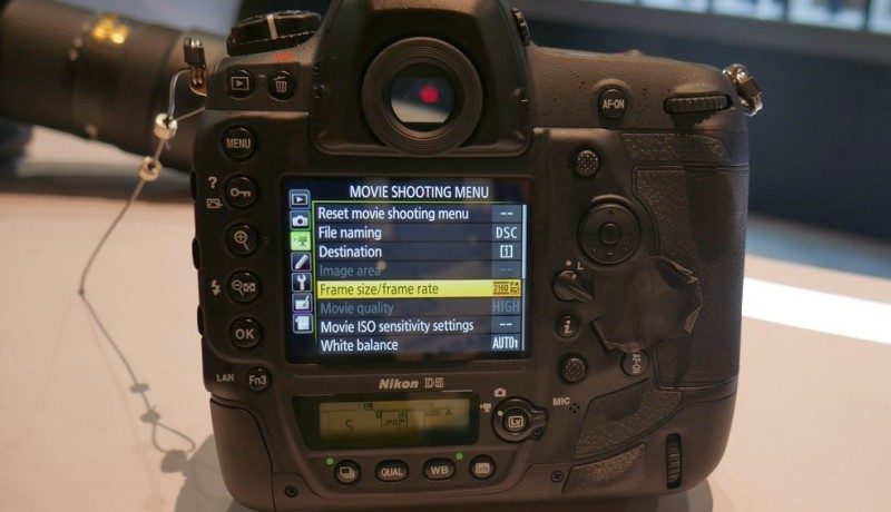 Nikon D5 設有輕觸式屏幕，但不能像 D500 般可上下翻摺。