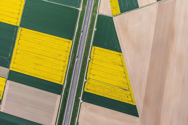 從高空拍攝農田的鳥瞰圖，一片片田顏色分明。（圖片來源：ShutterStock.com）
