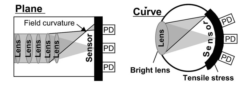 圖左為一般的平面感光元件，圖右則為 Nikon 的曲面感光元件。