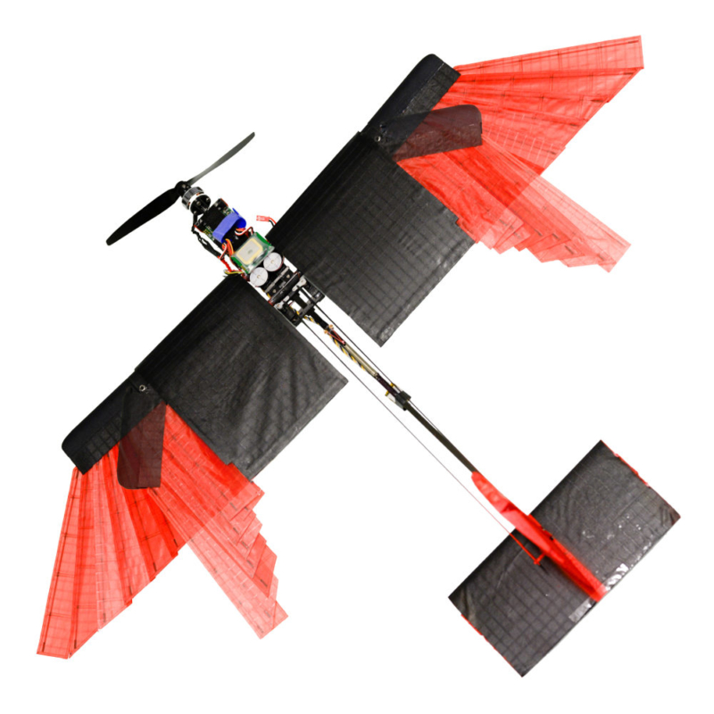 這可變形機翼無人機的紅色外翼的確有點像鳥翼的飛羽！