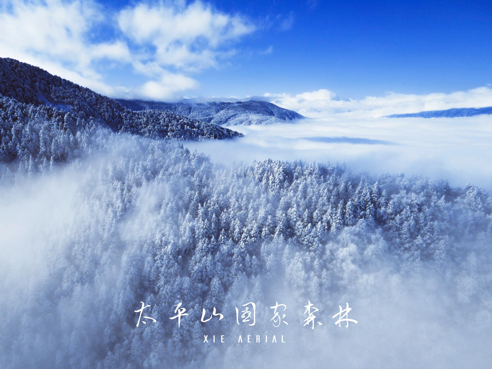 寒流再襲！　達人空拍太平山雪白世界　看見台灣高冷美