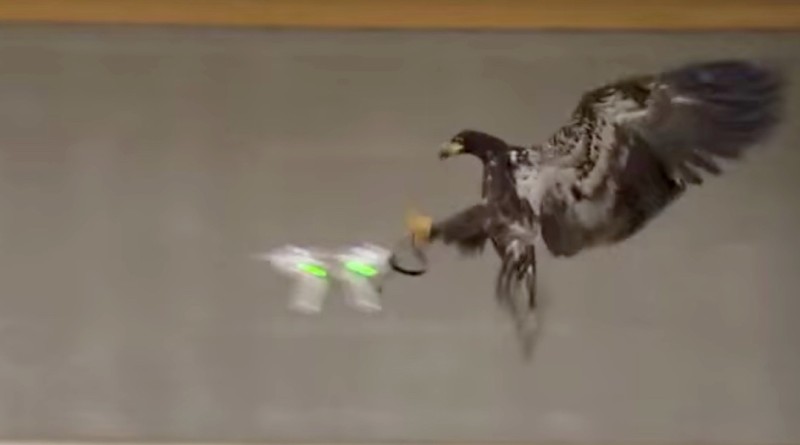 eagle_drone