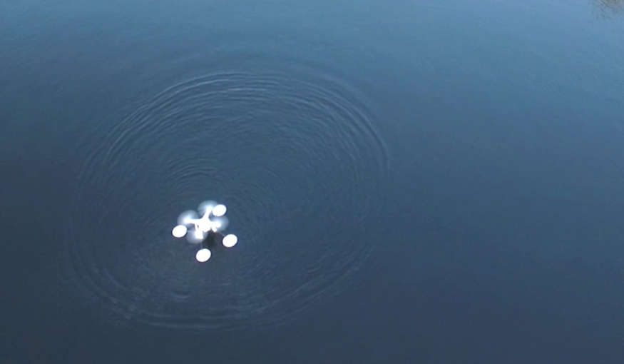 WaterStrider 浮在湖上