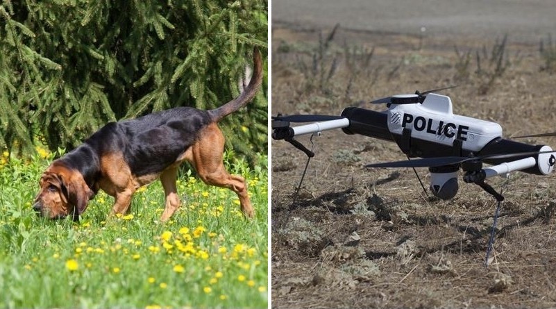 狗與無人機能成出勤拍檔嗎？