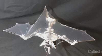 Bat Bot 無人機機翼具40個旋動方向　飛行效率大增