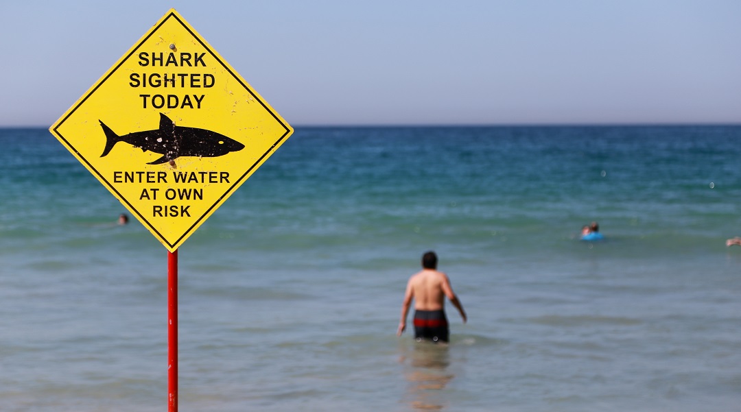 Aus shark warning