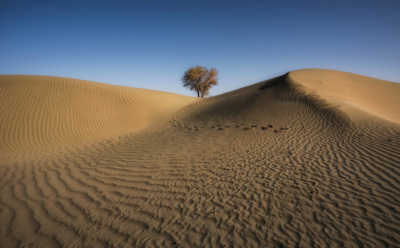Xinjiang Taklimakan Desert