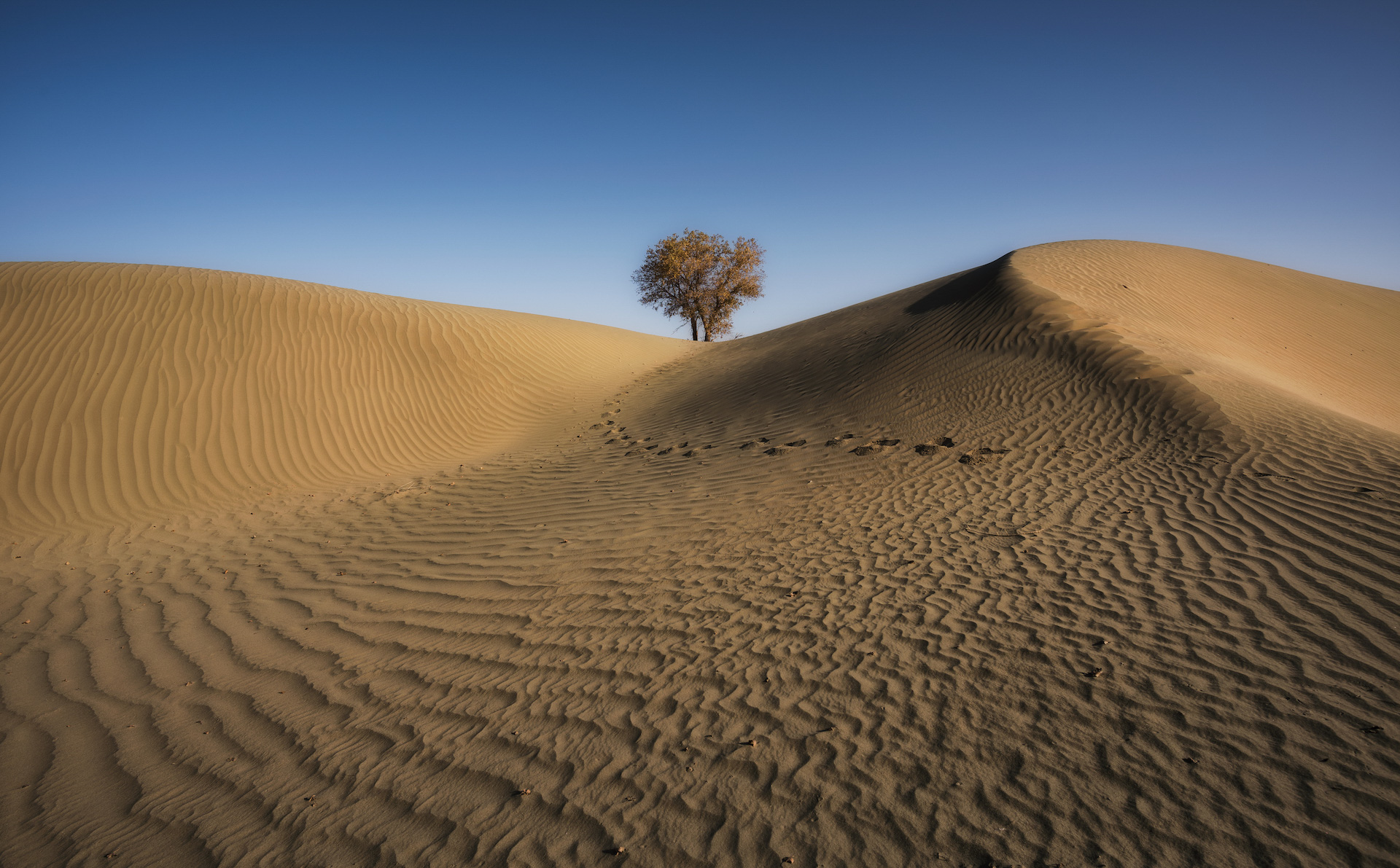 Xinjiang Taklimakan Desert
