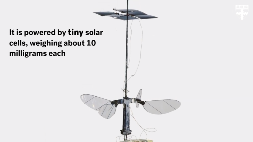 美哈佛大學研製不足 1 克之無人機　實驗室內成功試飛