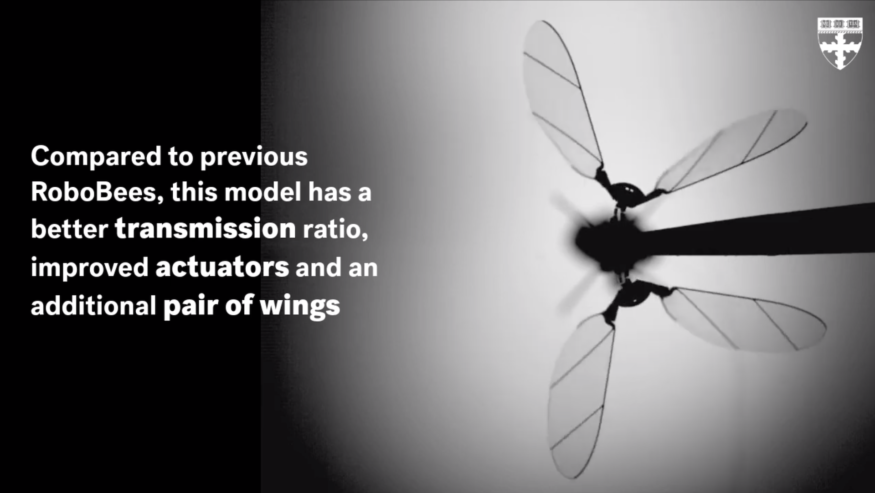 美哈佛大學研製不足 1 克之無人機　實驗室內成功試飛