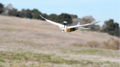 無人機長出真羽毛翅膀　仿鳥結構能省飛機燃油消耗？