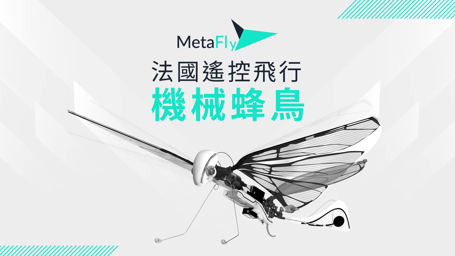 超輕巧仿生無人機metafly 機械蜂鳥降落台灣超額募資近3 倍 Dronesplayer